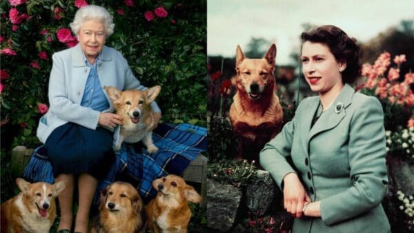 KOHA展覽｜《The Queen and her Corgis》攝影展  揭開伊莉莎白二世與她鍾愛的柯基犬們相處日常