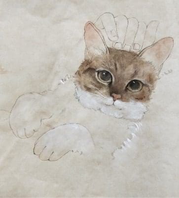 KOHA展覽｜《哪裡都有貓貓—陳家欣創作個展》以水墨描摹貓咪的神情、姿態3
