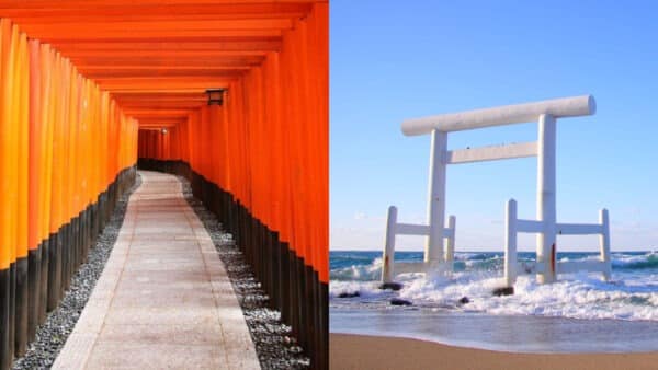 2023日本旅遊攻略｜通往神界的大門！盤點日本 6 大特色鳥居 絕美景觀必朝聖！