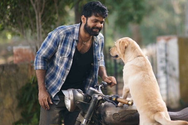 《幸運狗狗來造訪》印度當周票房冠軍  最賺人熱淚的人狗公路電影