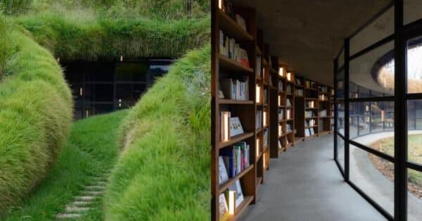 【2023日本旅遊攻略】書蟲們快來朝聖！隱身千葉碧綠山坡「地中圖書館」，潛入地心挖掘閱讀能量！