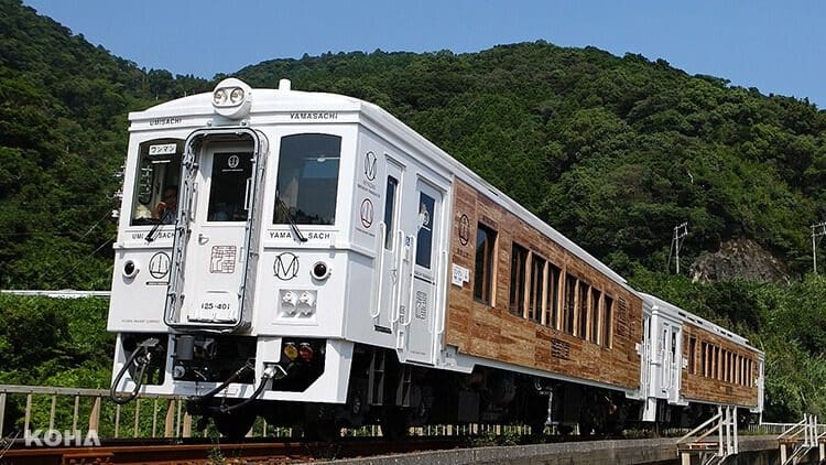 kyushu train 10
