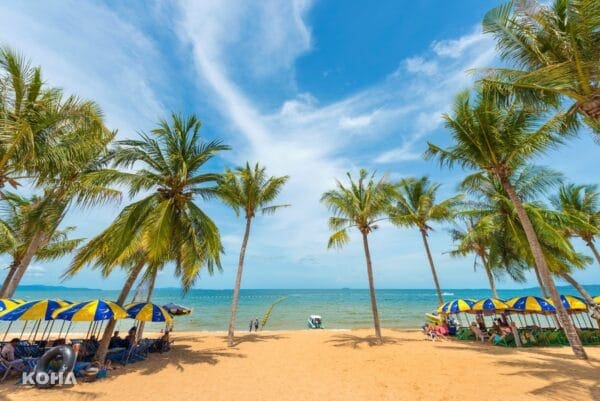 KOHA Travel｜泰國芭達雅｜2023夏季旅遊 就到喬木提恩海灘度假！
