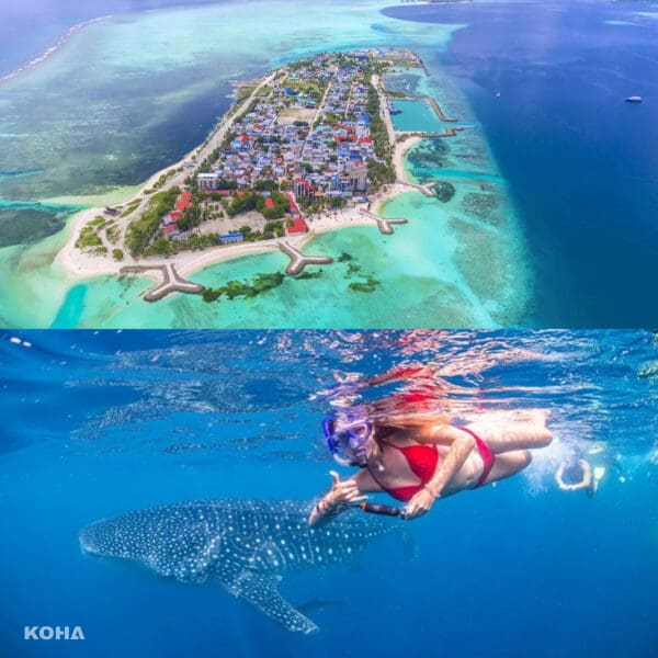 馬爾地夫人氣夯點！Maafushi環島一日遊，勇闖「No Bikini Beach」、與鯨鯊共游、潛入「酒船」…令人永生難忘！