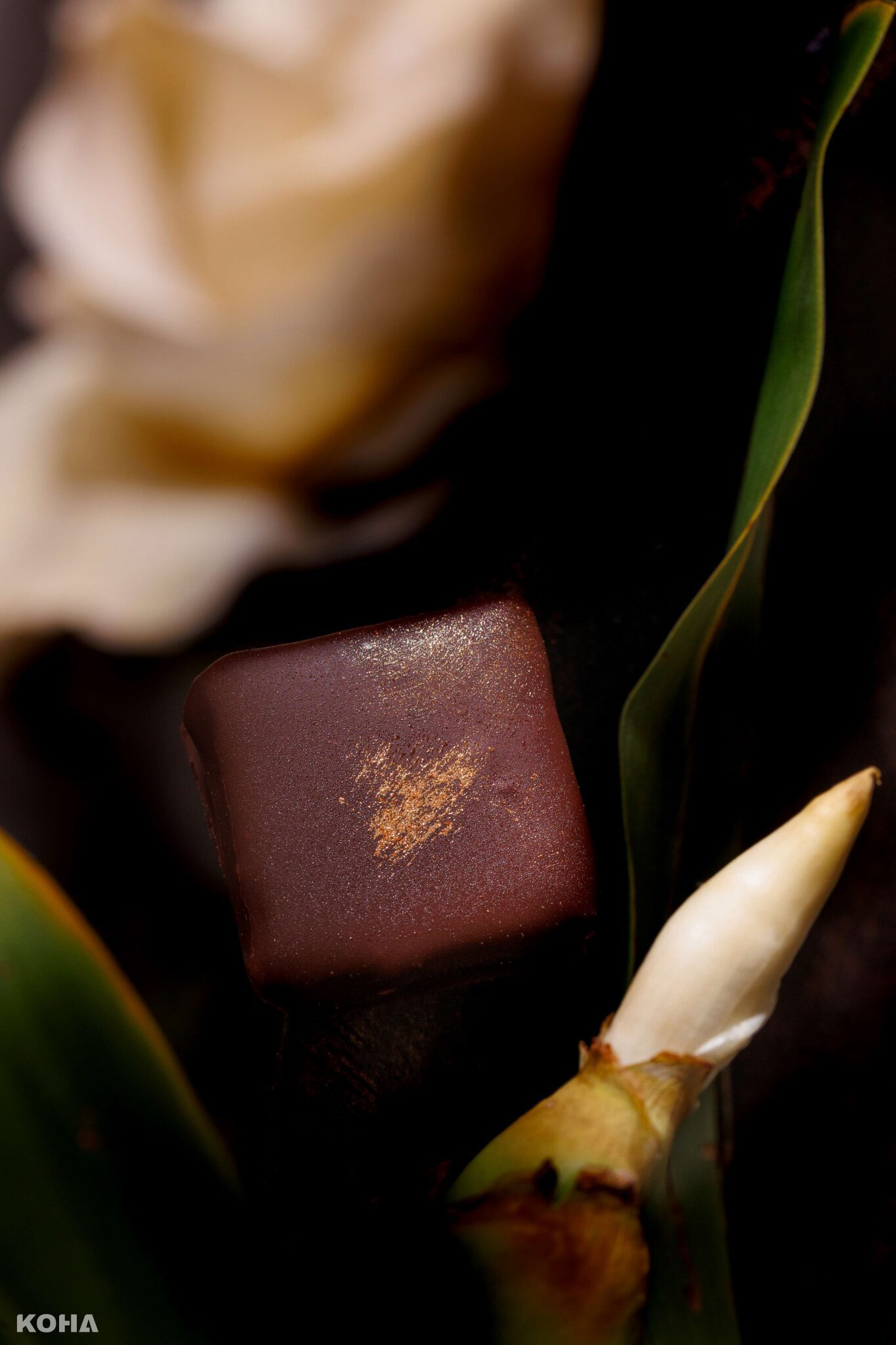 《軟糖黑巧克力》項目，金牌特別獎local ingredients特別獎innovation，獨家軟糖巧克力 野薑花 scaled