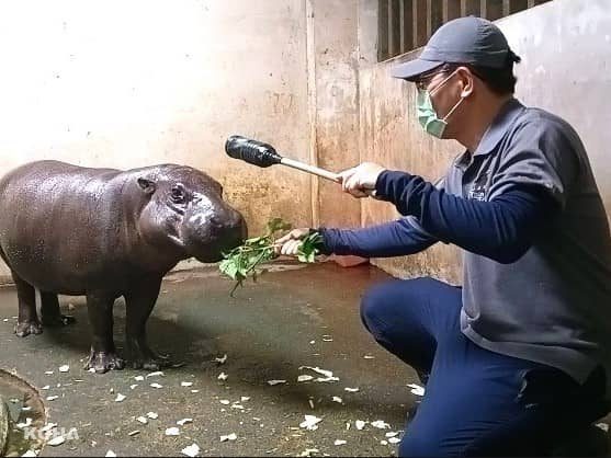 歷經兩年努力　壽山動物園保育員待遇明年元旦起調升