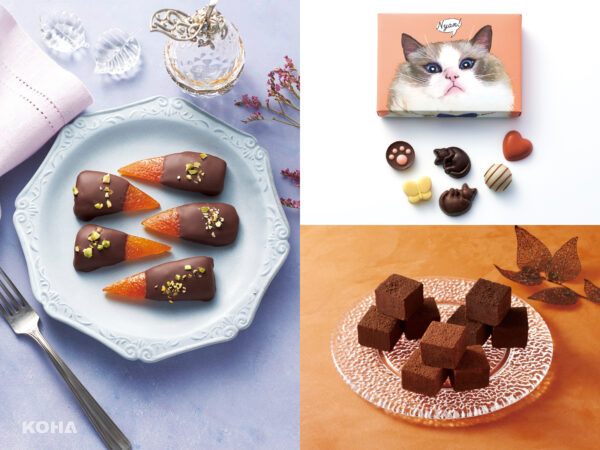 小田急百貨新宿店「ショコラ×ショコラ」情人節限定活動　推出超可愛貓爪造型巧克力
