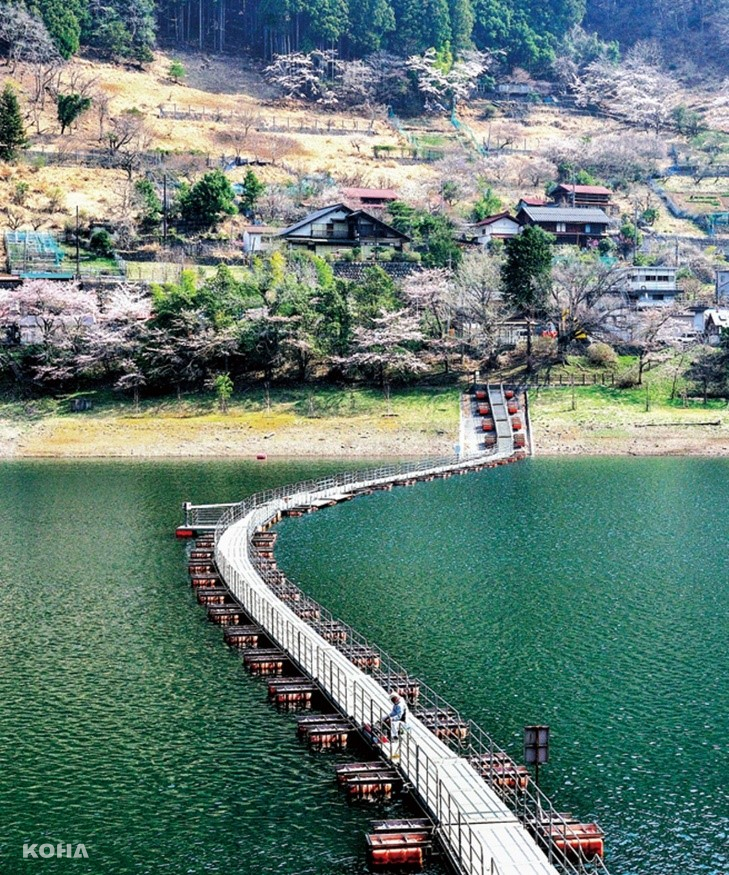圖11：走在奧多摩湖湖面上的歩行者専用浮橋，享受大自然環抱。（東京觀光財團提供）　