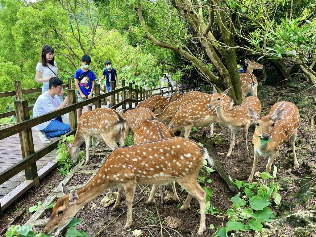壽山動物園照 0