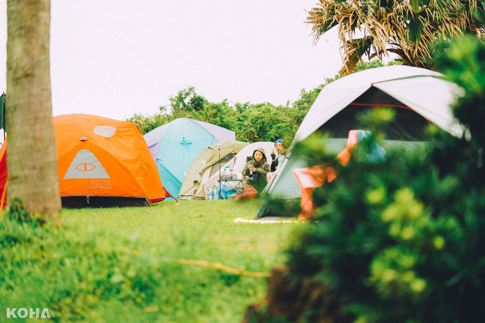 Organik Festival去年活動移師北海岸半島秘境，結合露營活動全心沈浸音樂與綠意 1