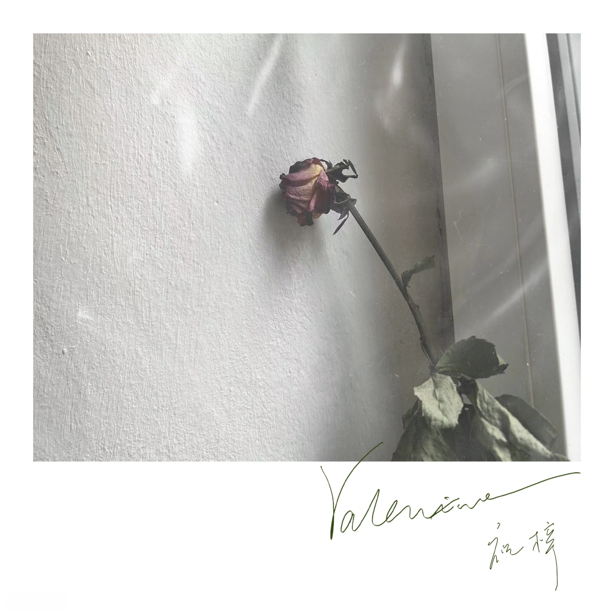 2024年全新單曲〈Valentine〉單曲封面