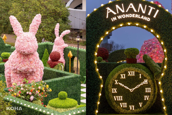 韓國Ananti飯店仙境計畫　打造「愛麗絲夢遊仙境」童話世界：巨型迷宮花園、粉色兔兔超好拍