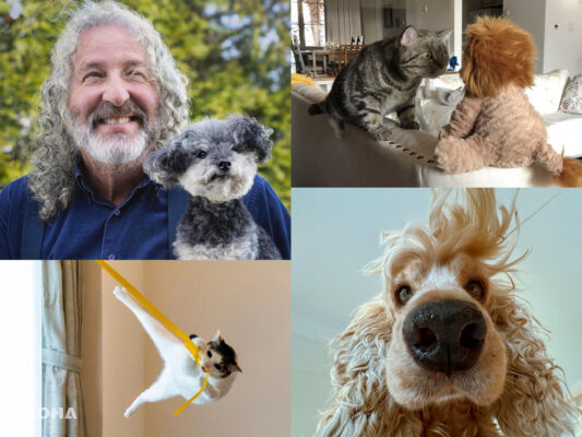 2024搞笑寵物攝影獎公布本屆入圍名單　30張逗趣寵物照被治癒了