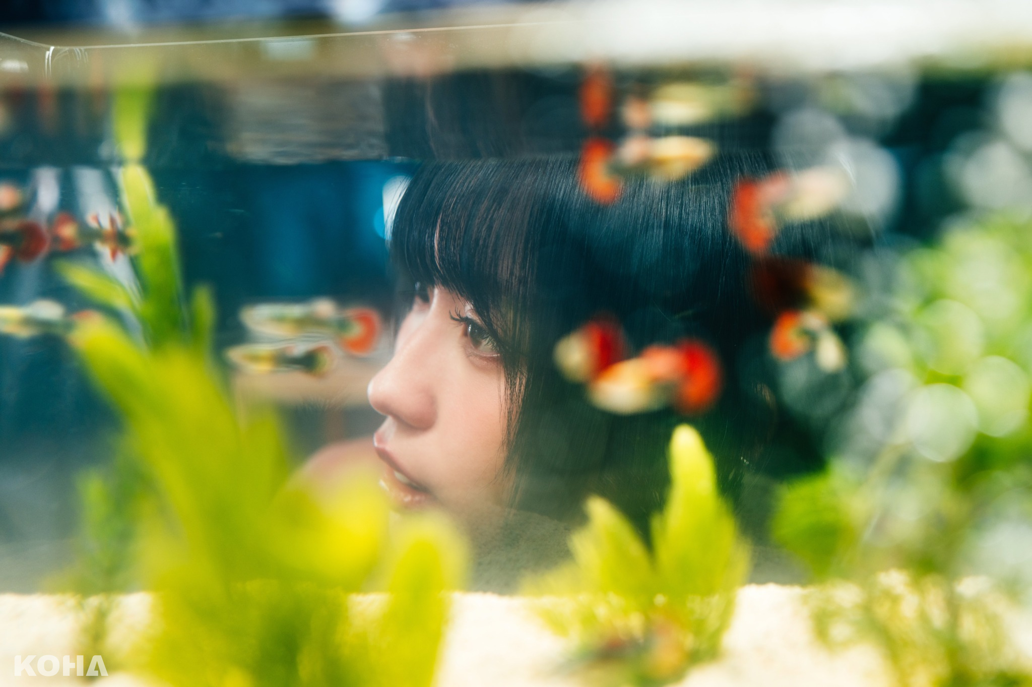 李芷婷歌曲寫下沉潛日子裡的心境 MV以困在魚缸的魚作為比喻