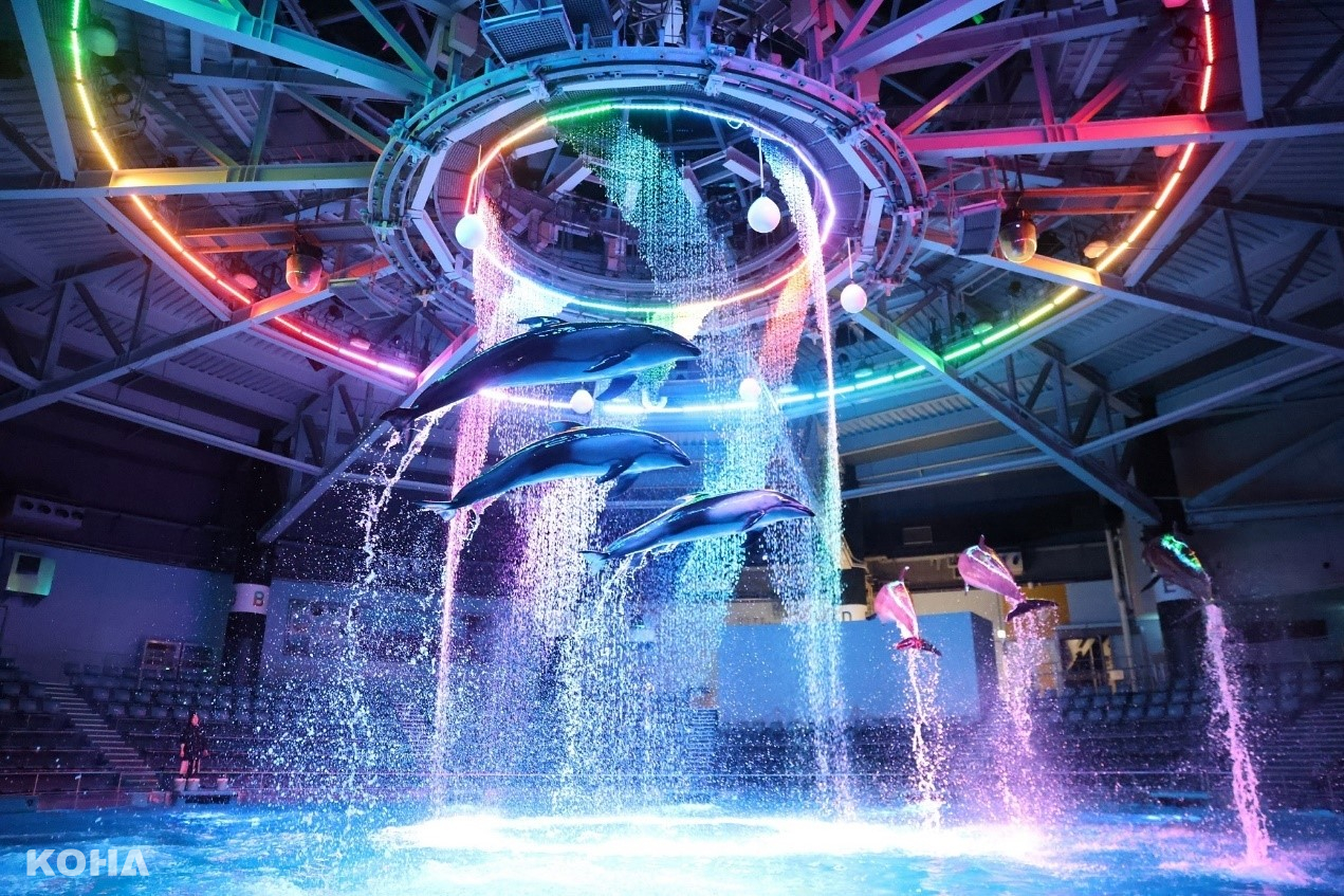 東京夏季避暑勝地：探索三大人氣水族館的奇幻世界
