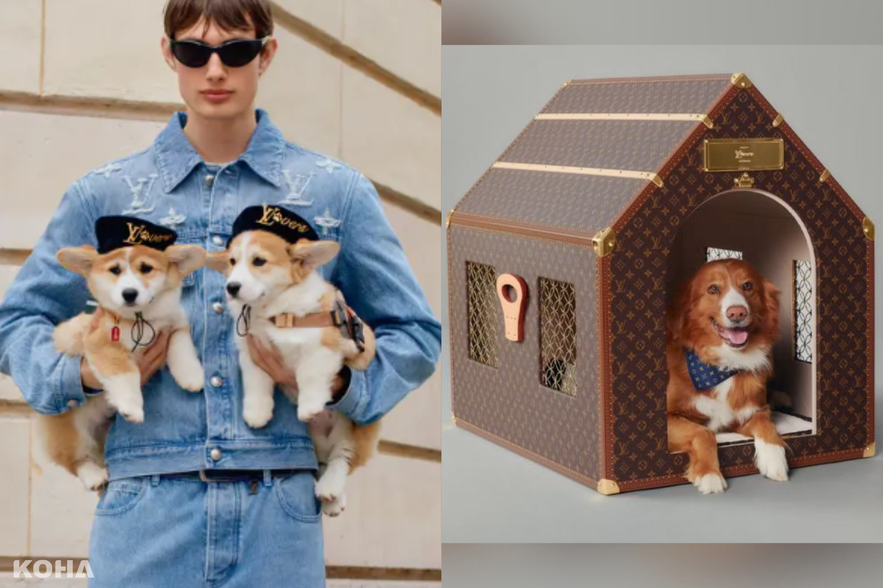 汪星人也能超時尚！LV路易威登DOG LVERS寵物系列登場　皮革狗屋、貝雷帽奢華可愛